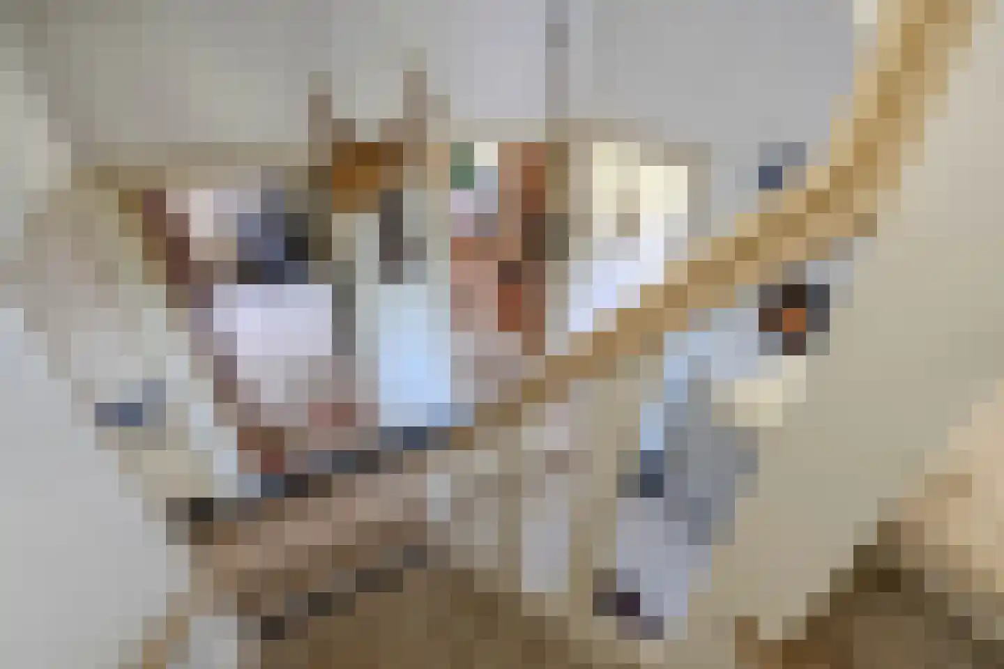 Wolvegasterweg 51 Oldeberkoop thumbnail 25