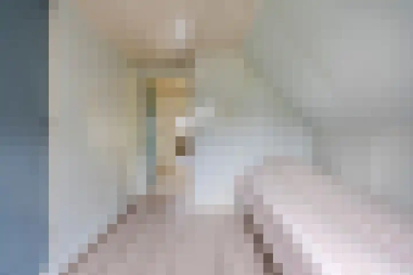 Wolvegasterweg 51 Oldeberkoop thumbnail 30
