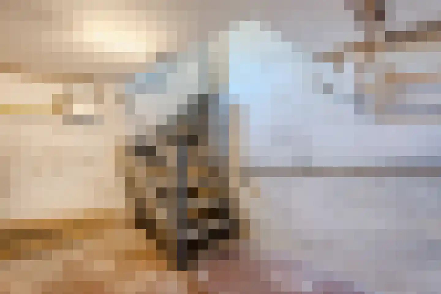 Wolvegasterweg 51 Oldeberkoop thumbnail 34