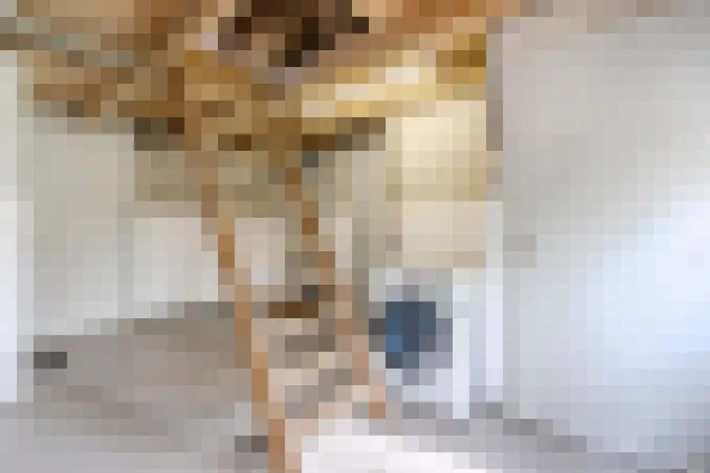Wolvegasterweg 51 Oldeberkoop thumbnail 41