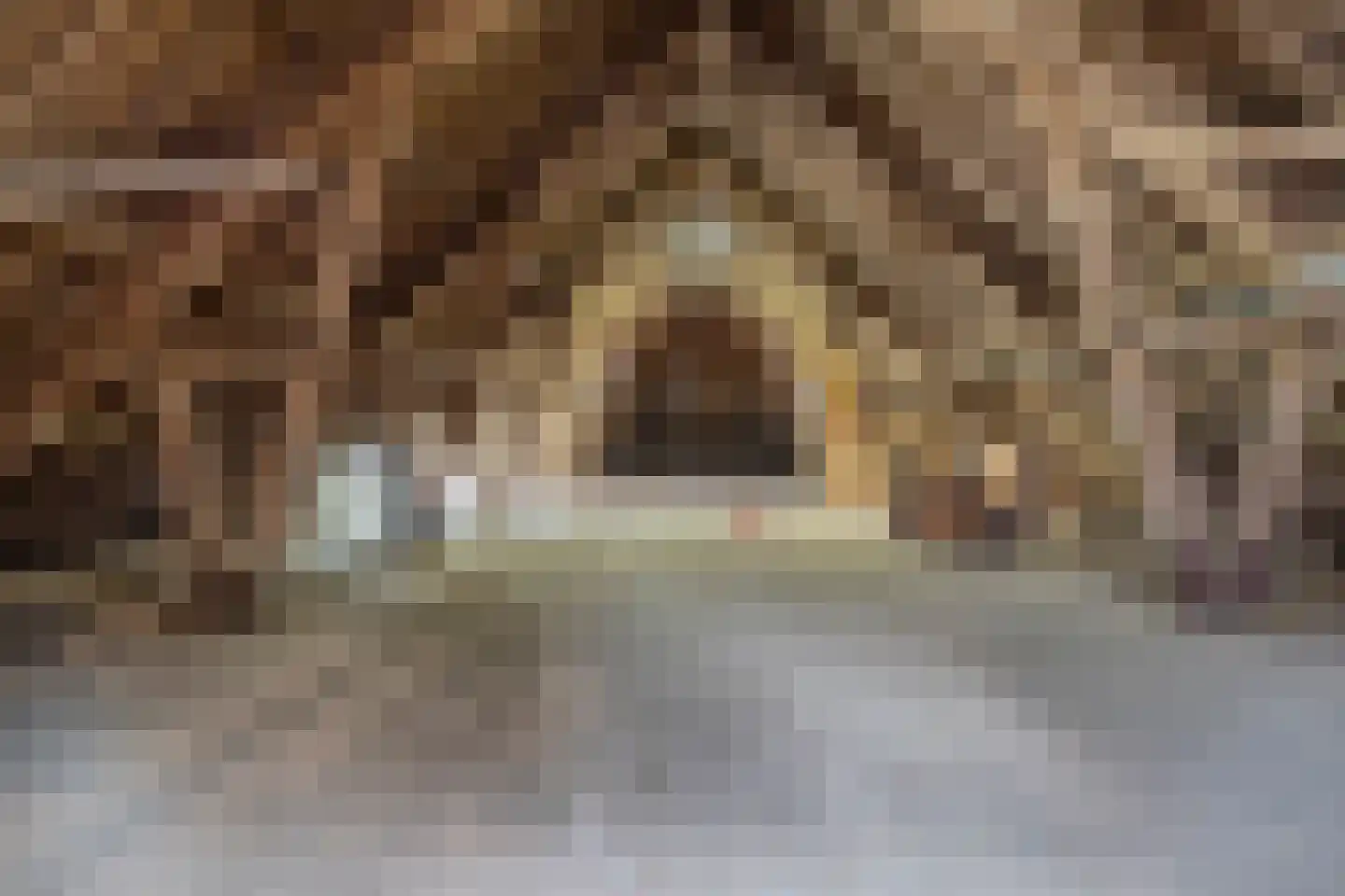 Wolvegasterweg 51 Oldeberkoop thumbnail 45