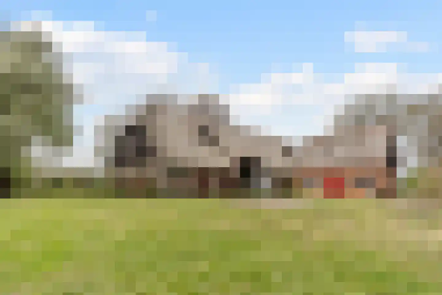 Wolvegasterweg 51 Oldeberkoop thumbnail 54
