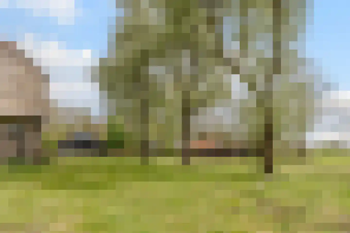 Wolvegasterweg 51 Oldeberkoop thumbnail 57