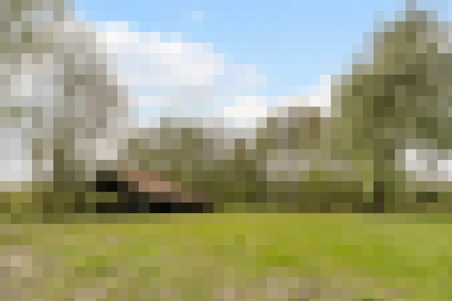 Wolvegasterweg 51 Oldeberkoop thumbnail 58