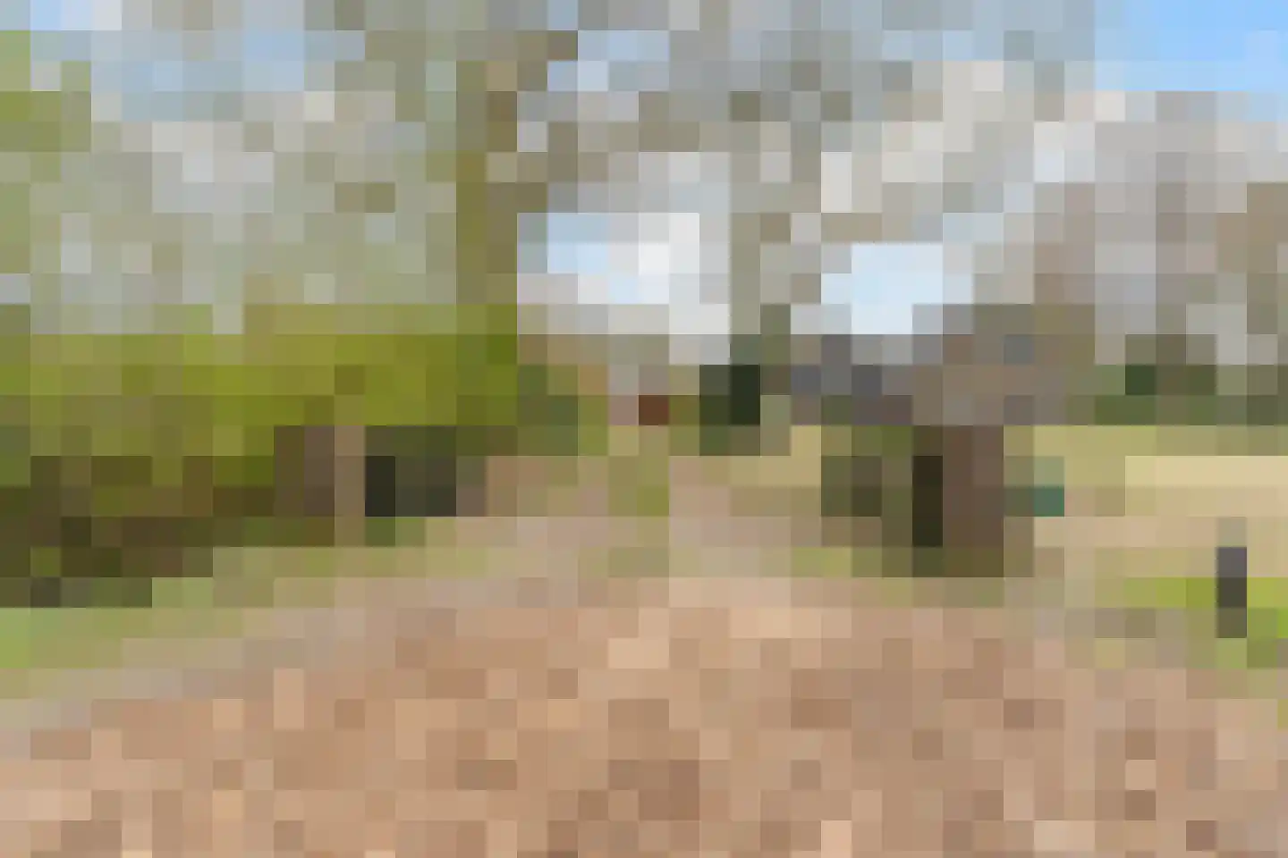 Wolvegasterweg 51 Oldeberkoop thumbnail 64