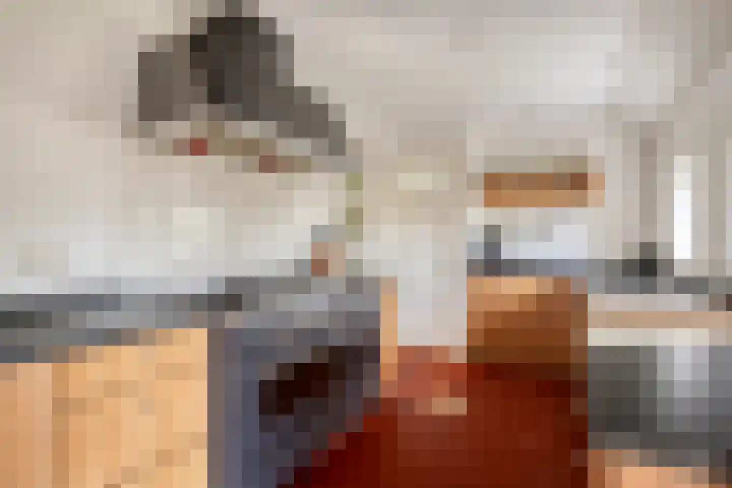 Wolvegasterweg 81 Oldeberkoop thumbnail 15
