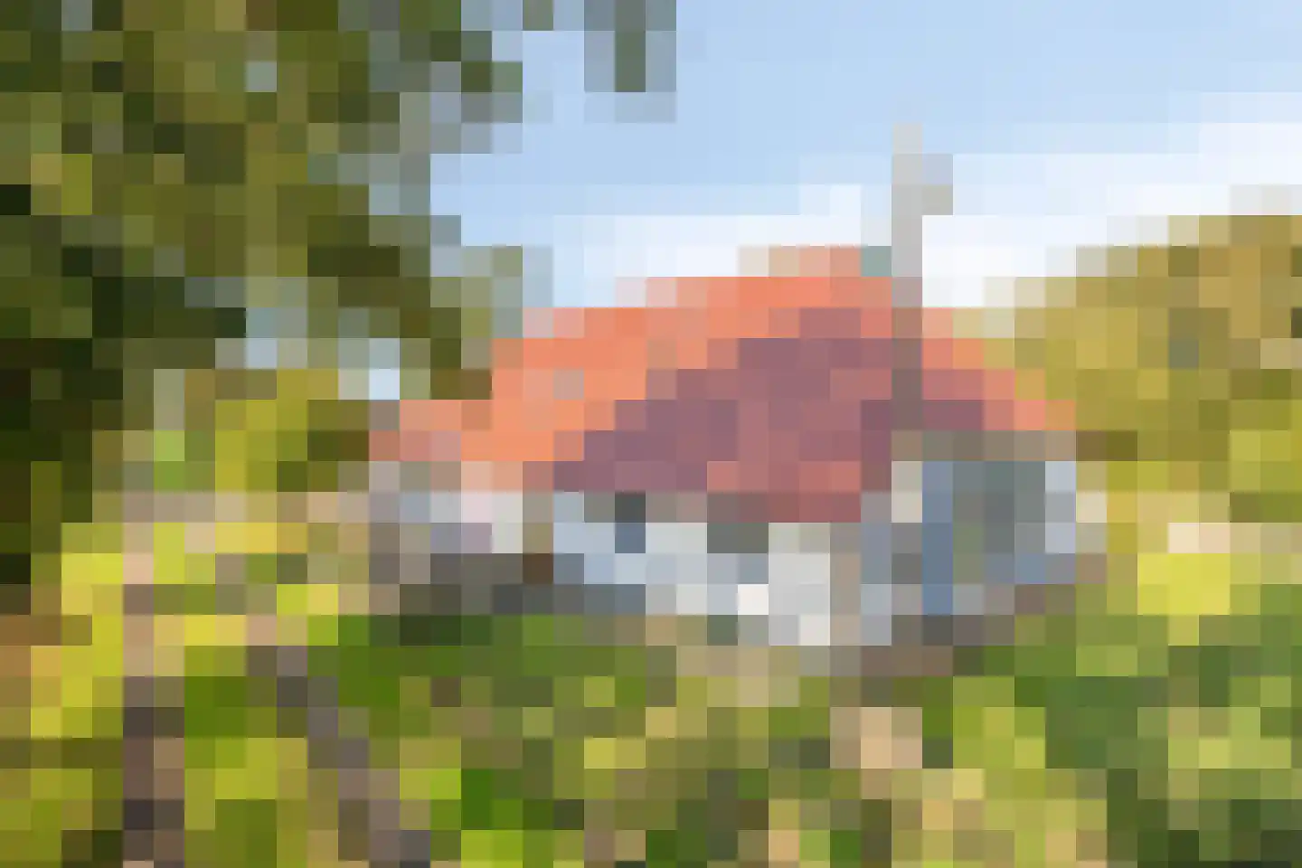 Wolvegasterweg 81 Oldeberkoop thumbnail 42
