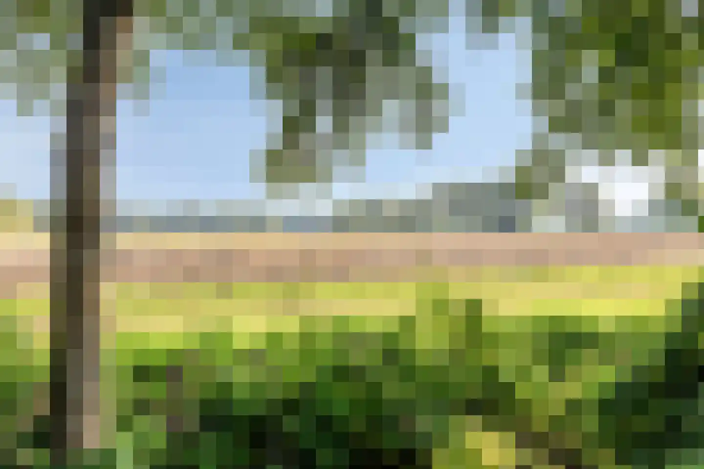 Wolvegasterweg 81 Oldeberkoop thumbnail 44