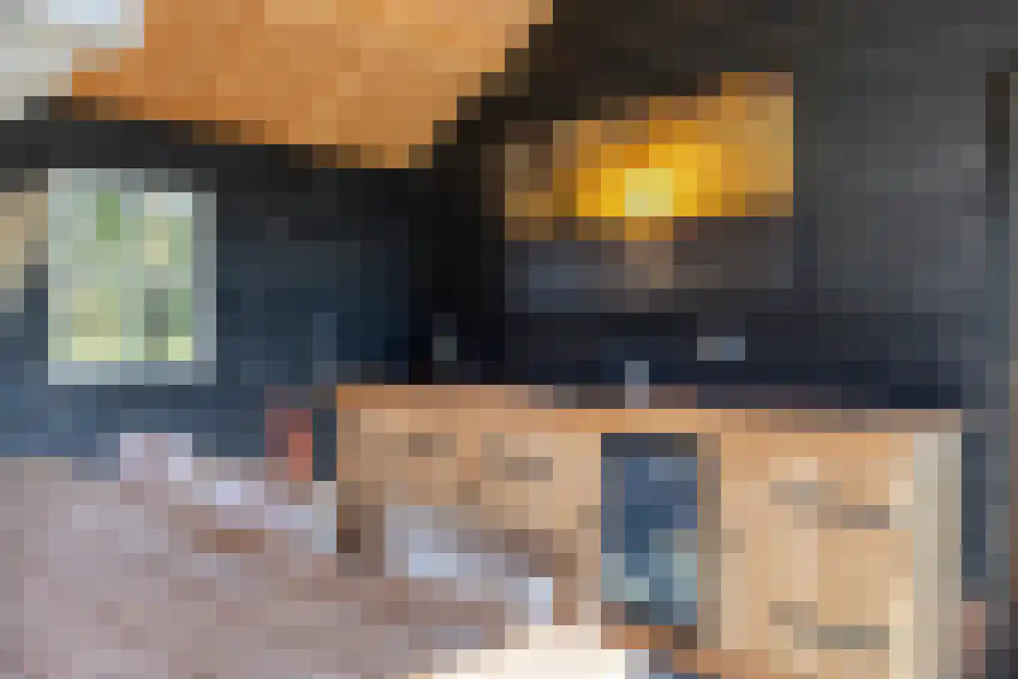 Wolvegasterweg 81 Oldeberkoop thumbnail 50