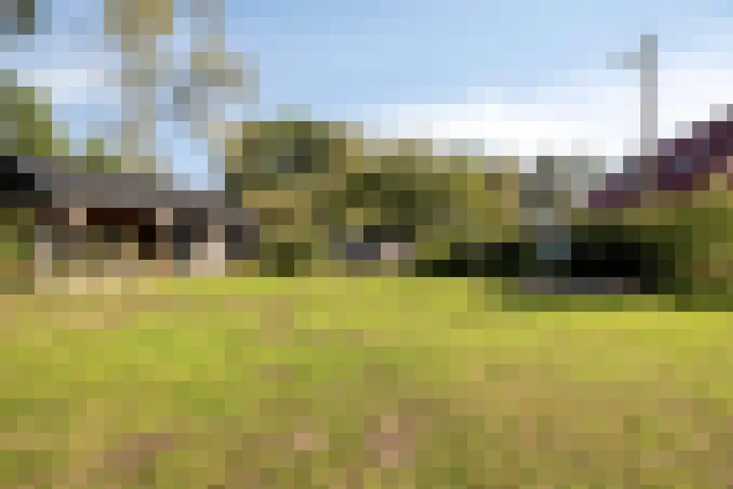 Wolvegasterweg 81 Oldeberkoop thumbnail 55