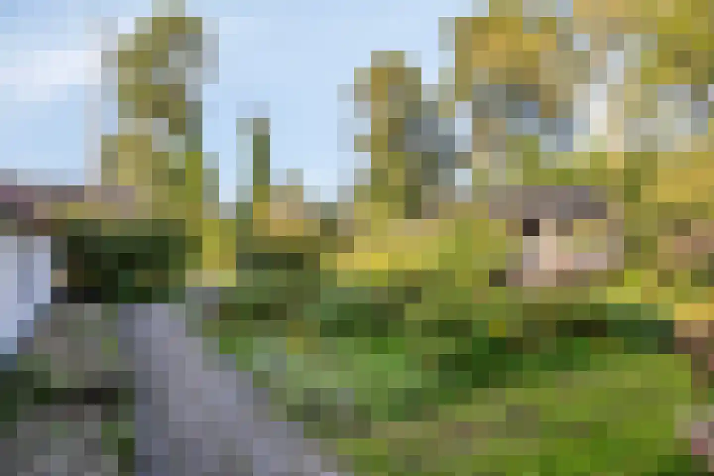 Wolvegasterweg 81 Oldeberkoop thumbnail 56