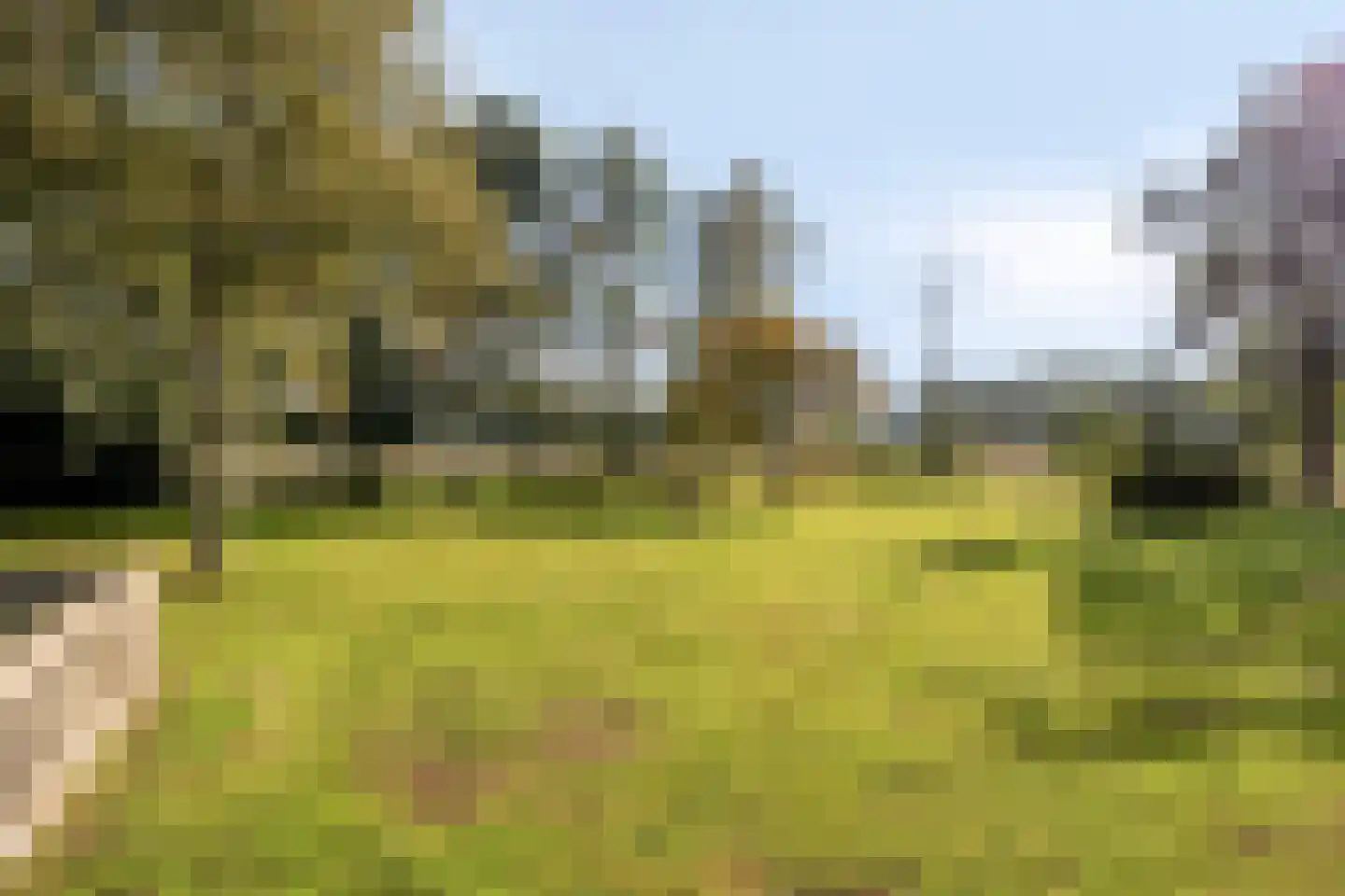Wolvegasterweg 81 Oldeberkoop thumbnail 61