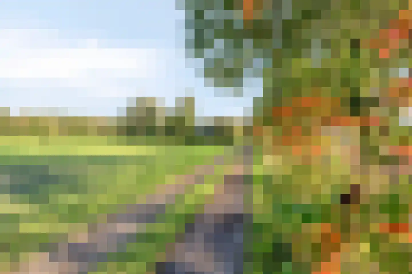 Wolvegasterweg 81 Oldeberkoop thumbnail 71