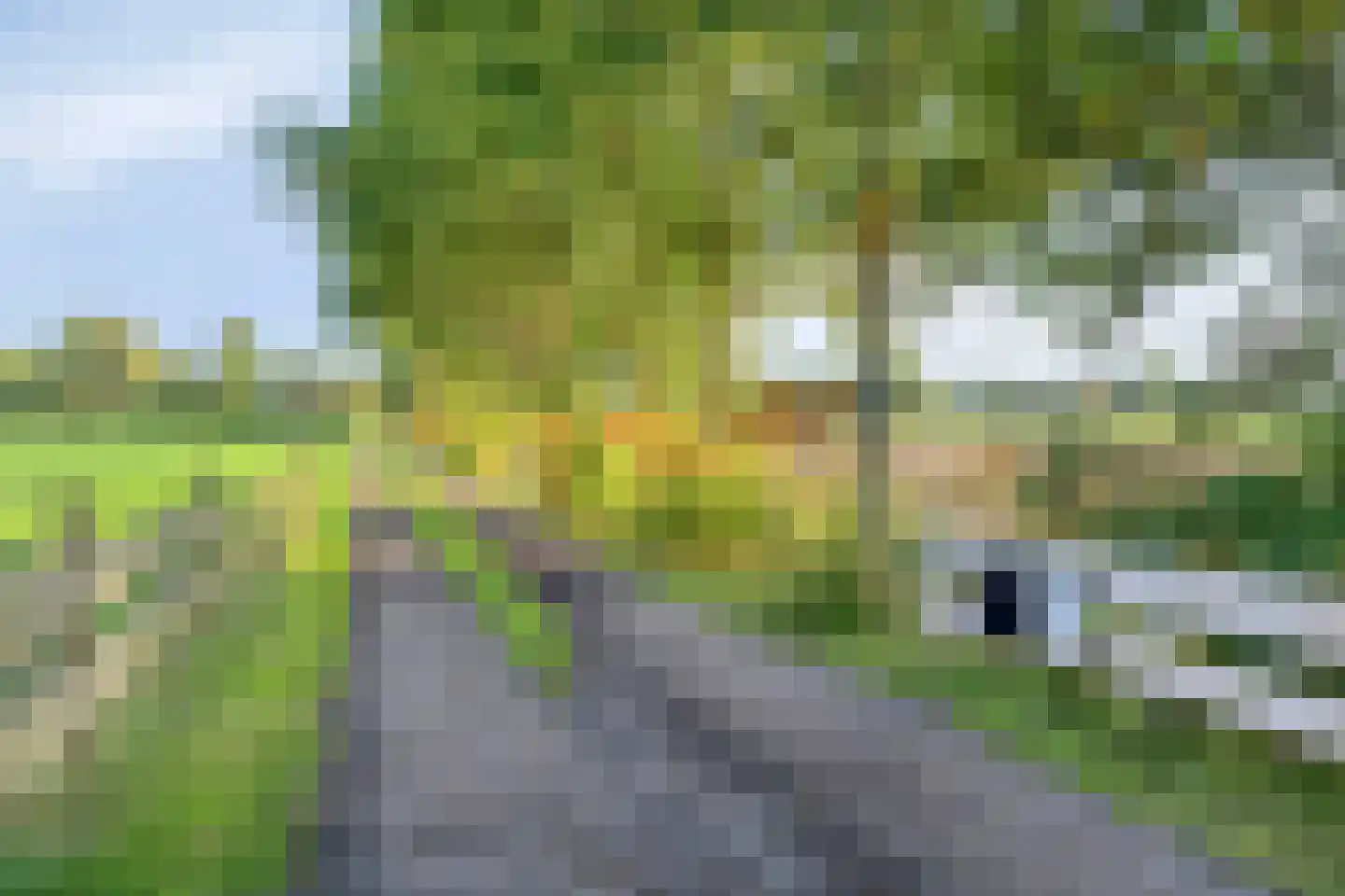 Wolvegasterweg 81 Oldeberkoop thumbnail 72