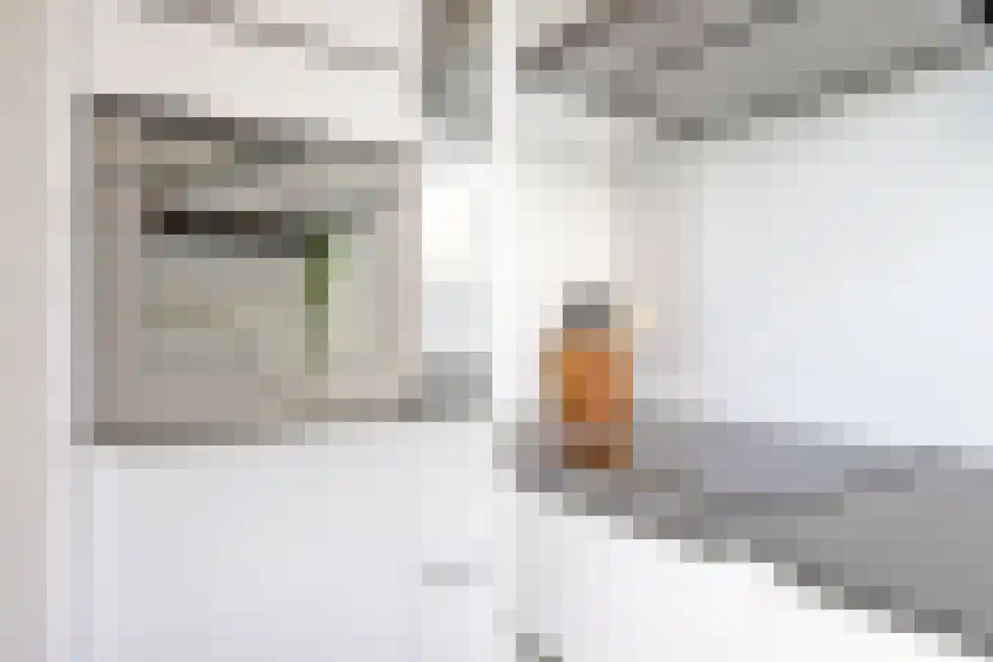 Wolvegastraat 89 Tilburg thumbnail 14