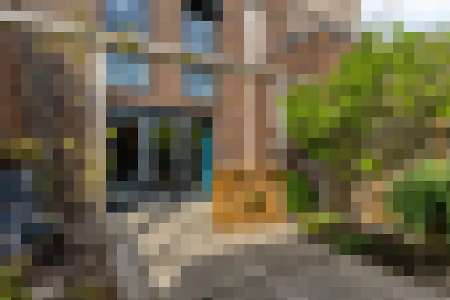 Wolvegastraat 92 Tilburg thumbnail 25