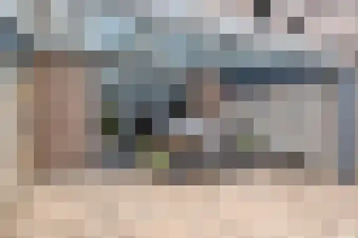Wolvegastraat 98 Tilburg thumbnail 16
