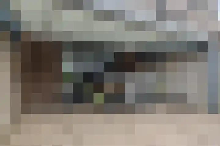 Wolvegastraat 98 Tilburg thumbnail 17