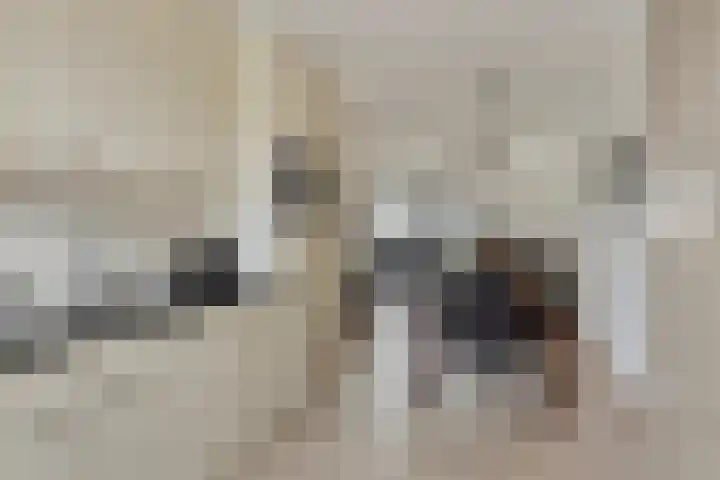 Wolvegastraat 98 Tilburg thumbnail 8