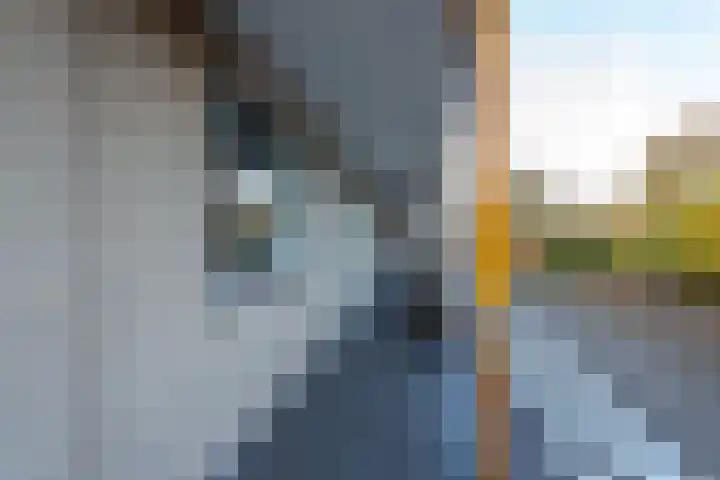 Wolvenakker 52 Houten thumbnail 27