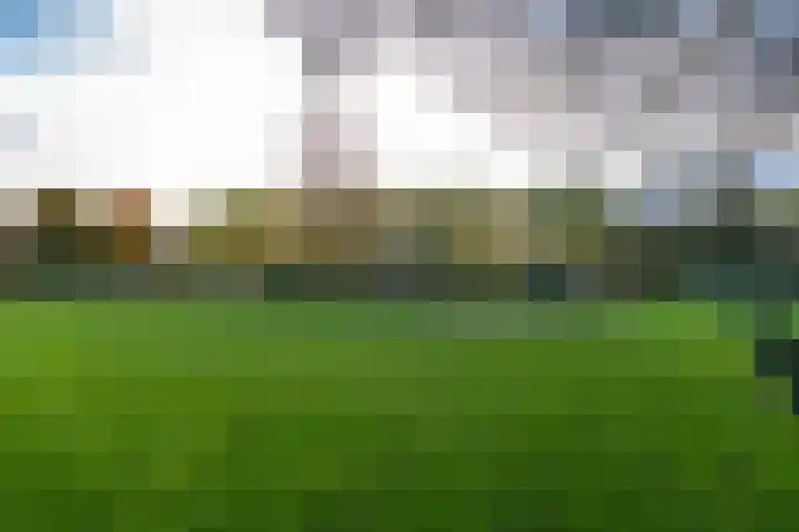 Wolvenakker 52 Houten thumbnail 36