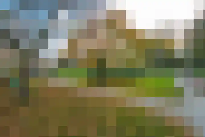 Wolvenakker 52 Houten thumbnail 37