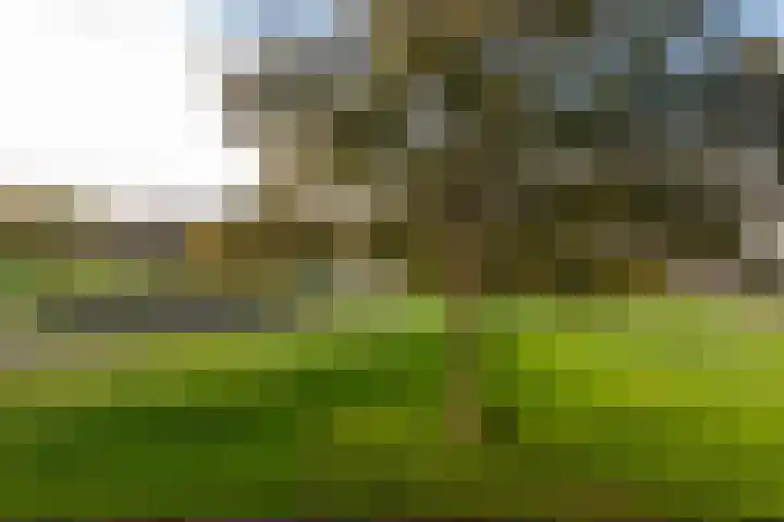 Wolvenakker 52 Houten thumbnail 7