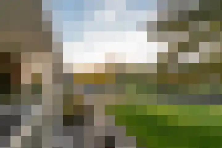 Wolvenakker 52 Houten thumbnail 8