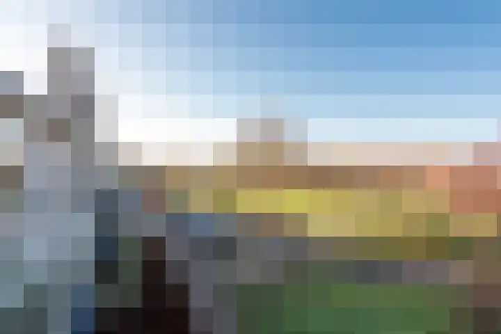 Wolvenakker 64 Houten thumbnail 16