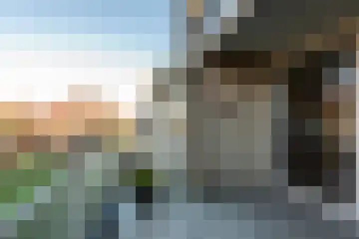 Wolvenakker 64 Houten thumbnail 17