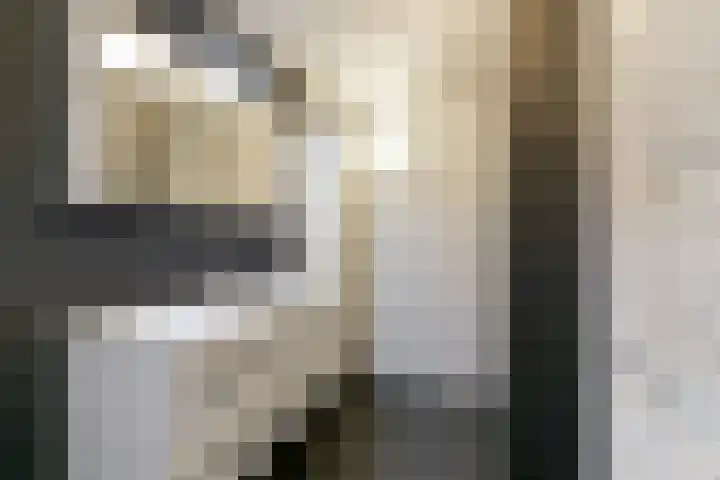 Wolvenakker 64 Houten thumbnail 21