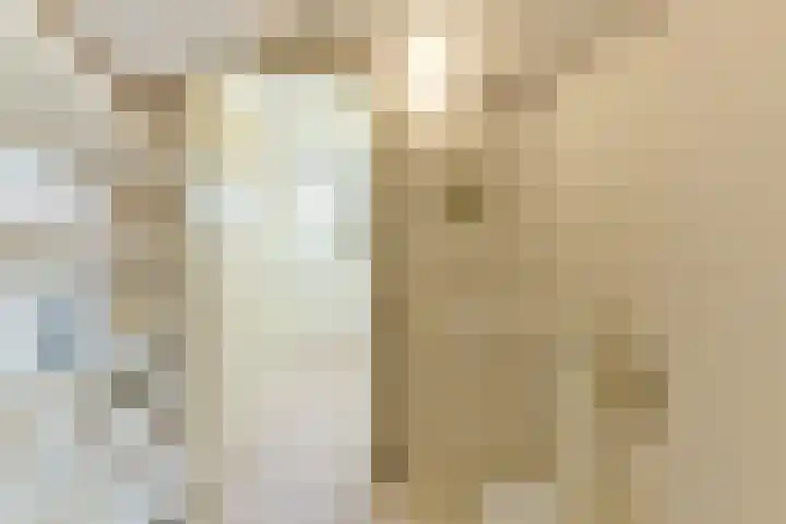 Wolvenakker 64 Houten thumbnail 30