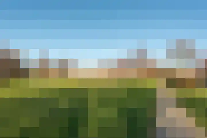 Wolvenakker 64 Houten thumbnail 43