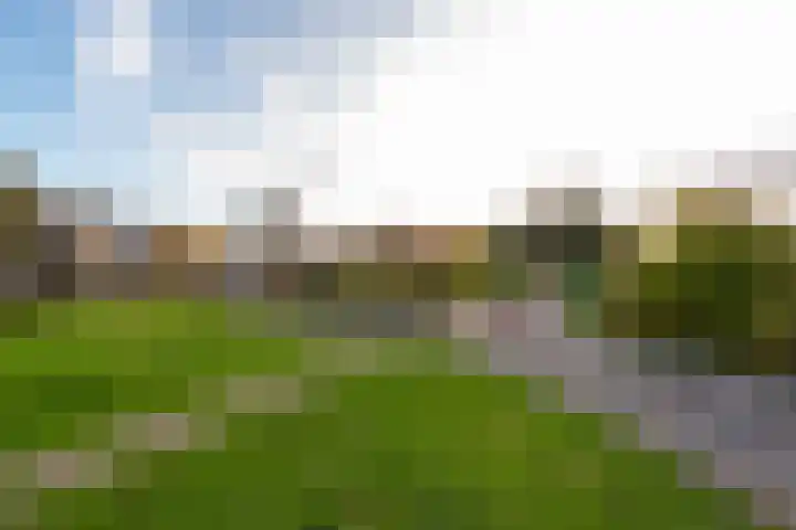 Wolvenakker 64 Houten thumbnail 44