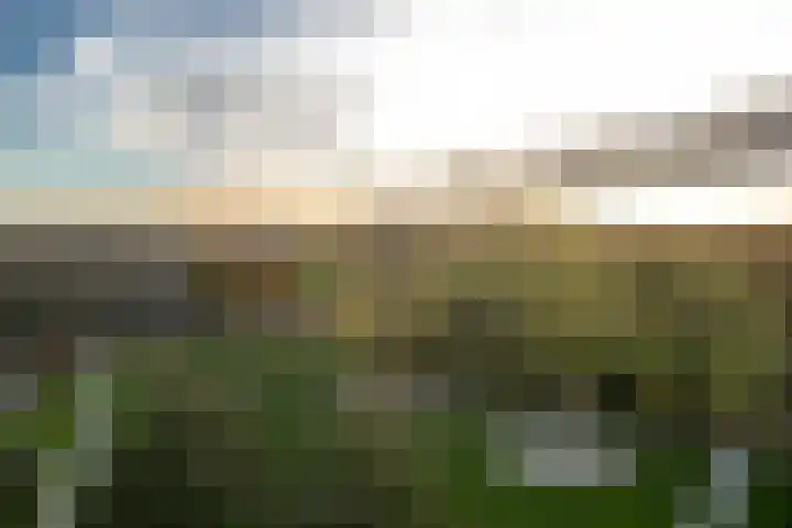 Wolvenakker 64 Houten thumbnail 48