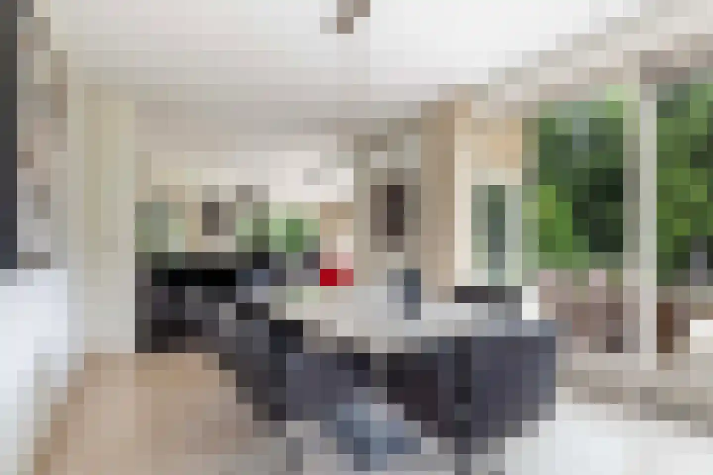 Wolvenbos 9 Apeldoorn thumbnail 11