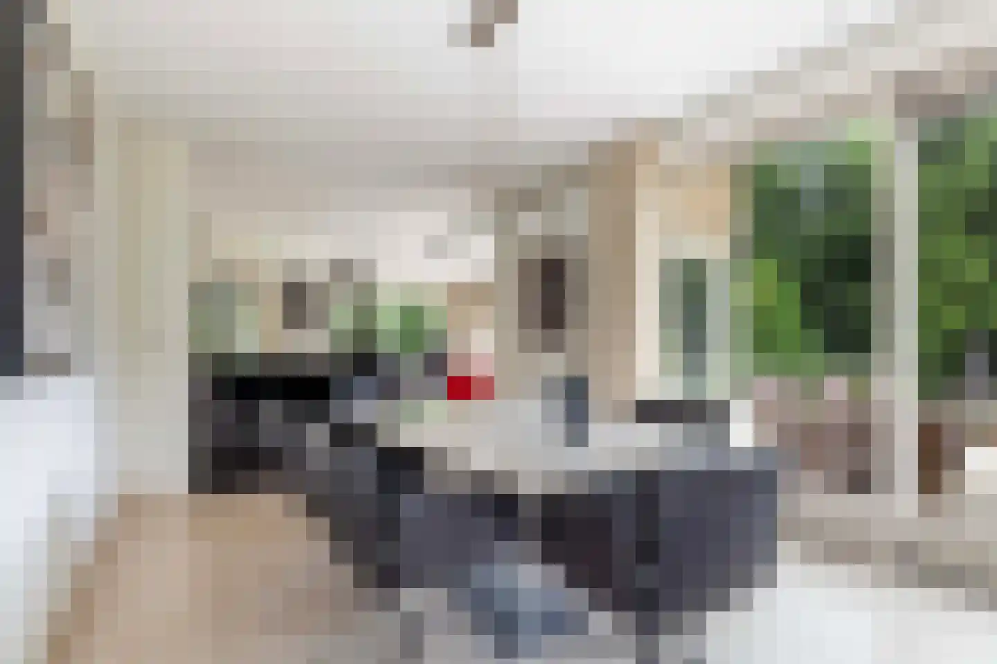 Wolvenbos 9 Apeldoorn thumbnail 11