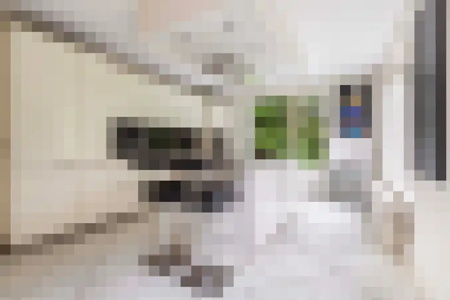 Wolvenbos 9 Apeldoorn thumbnail 12