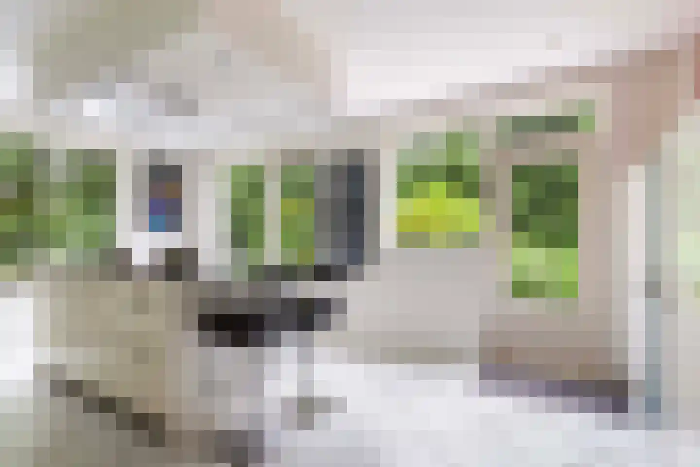 Wolvenbos 9 Apeldoorn thumbnail 13