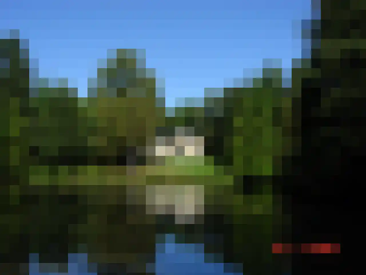 Wolvenbos 9 Apeldoorn thumbnail 23
