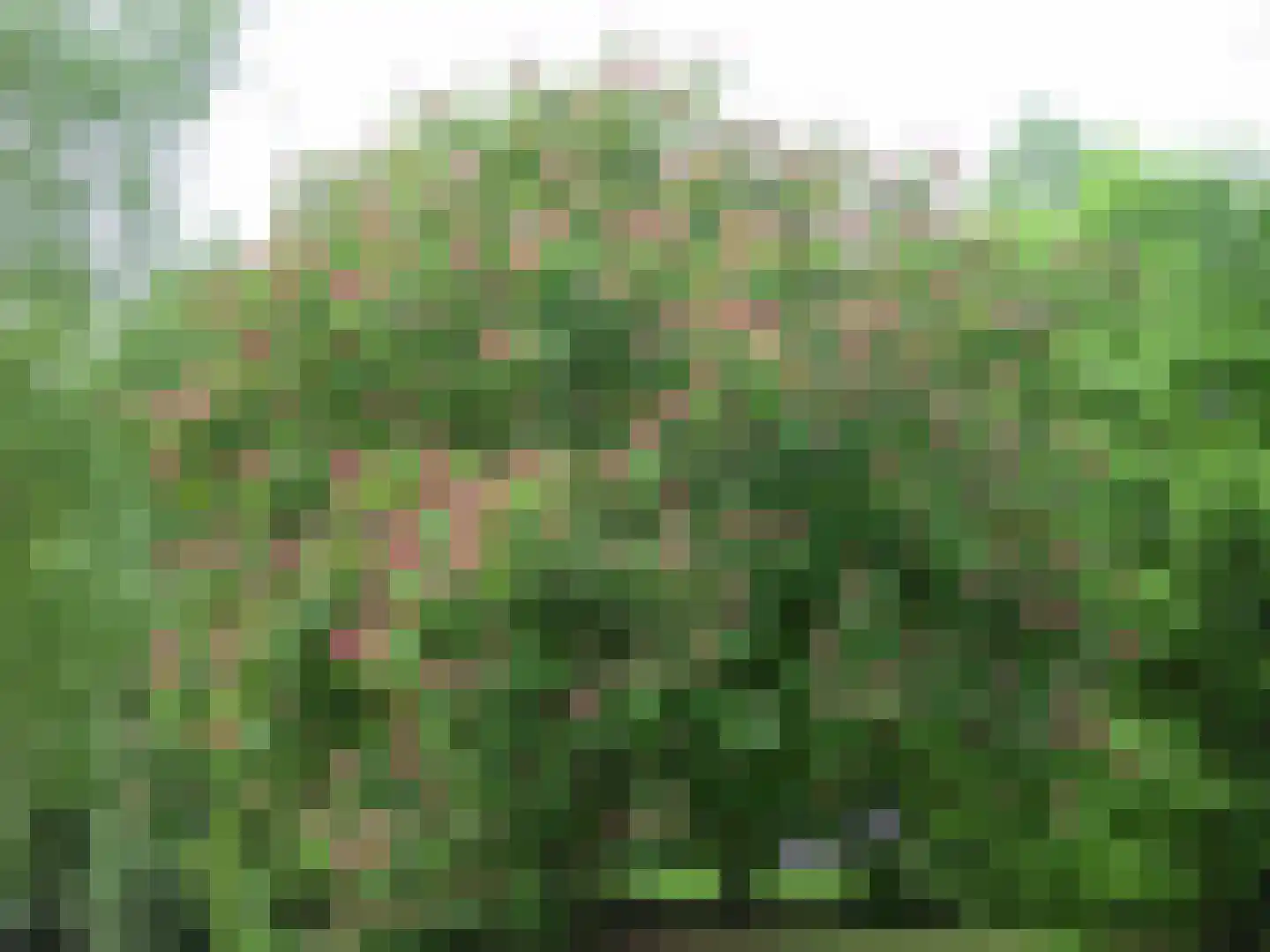 Wolvenbos 9 Apeldoorn thumbnail 24