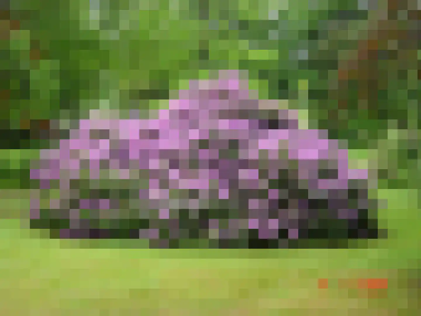 Wolvenbos 9 Apeldoorn thumbnail 26