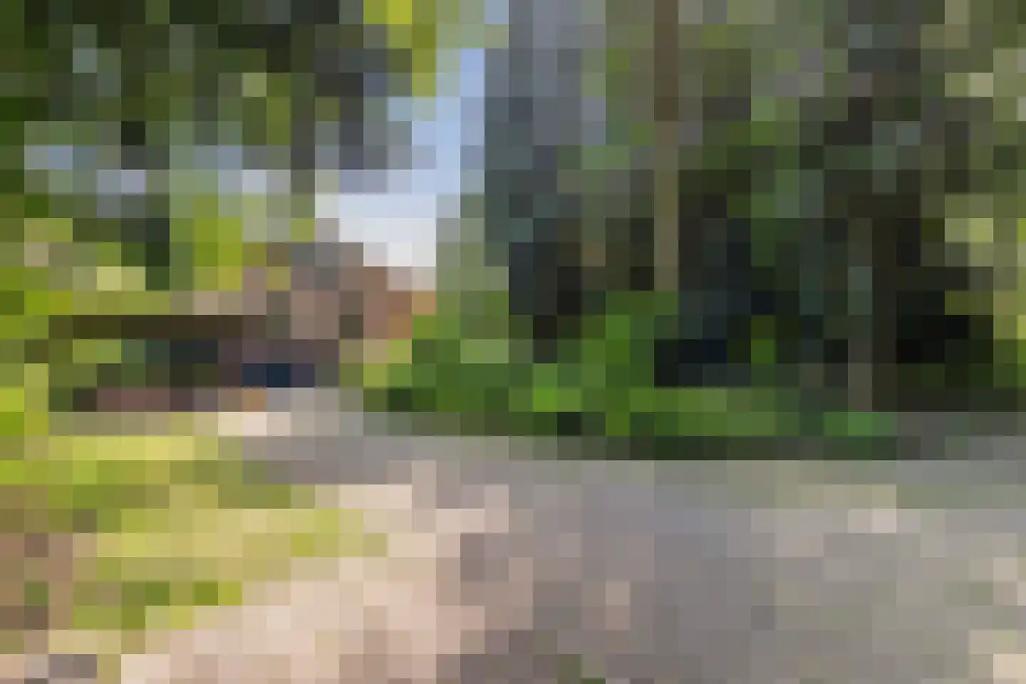 Wolvenbos 9 Apeldoorn thumbnail 4