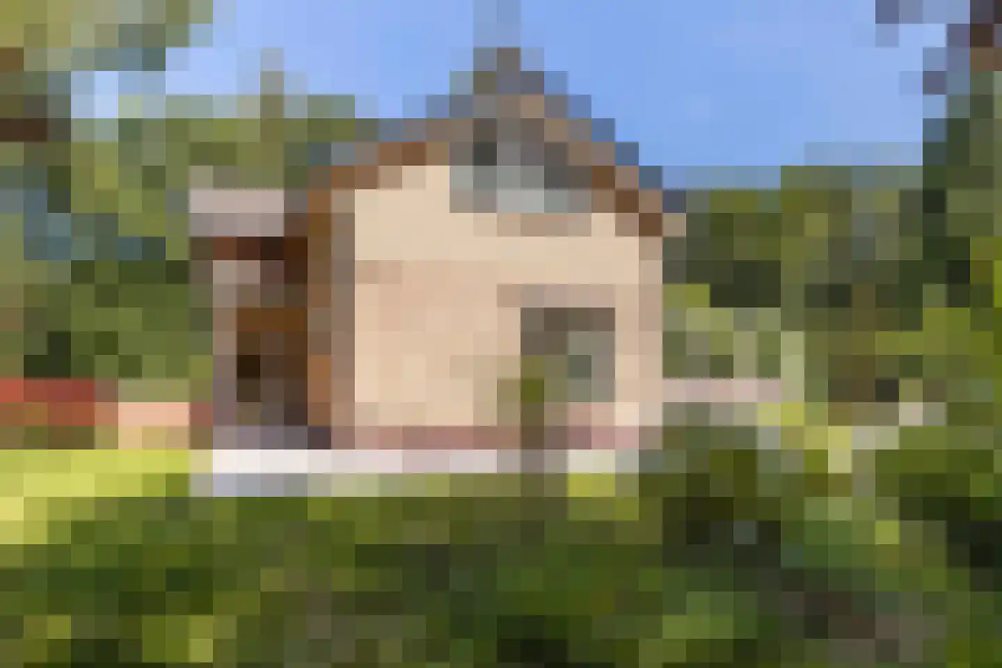 Wolvenbos 9 Apeldoorn thumbnail 5