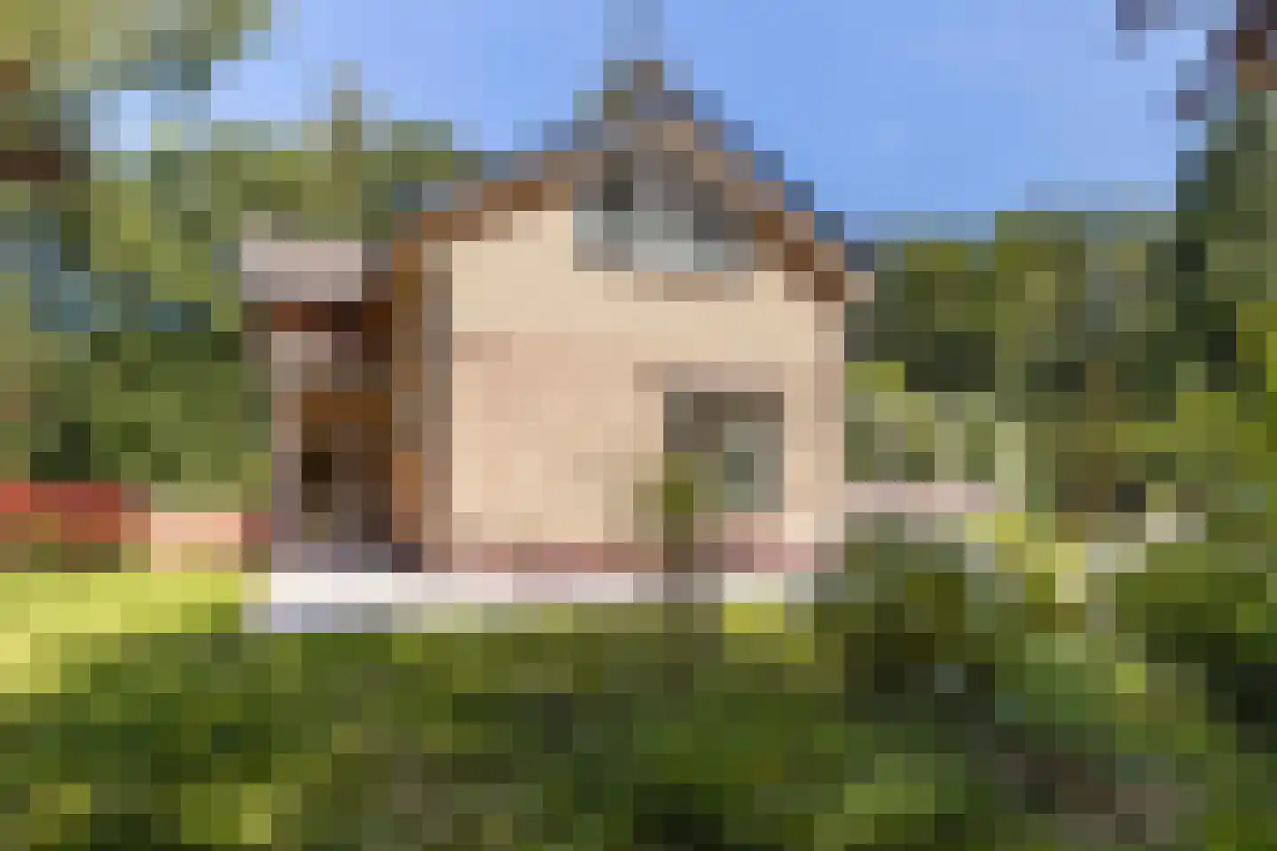 Wolvenbos 9 Apeldoorn thumbnail 5