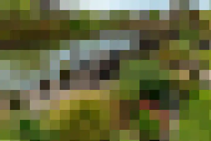 Wolvenburg 112 Barendrecht thumbnail 47