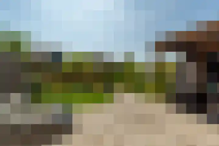 Wolvenburg 112 Barendrecht thumbnail 5