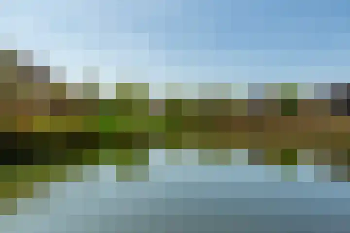 Wolvenburg 112 Barendrecht thumbnail 56