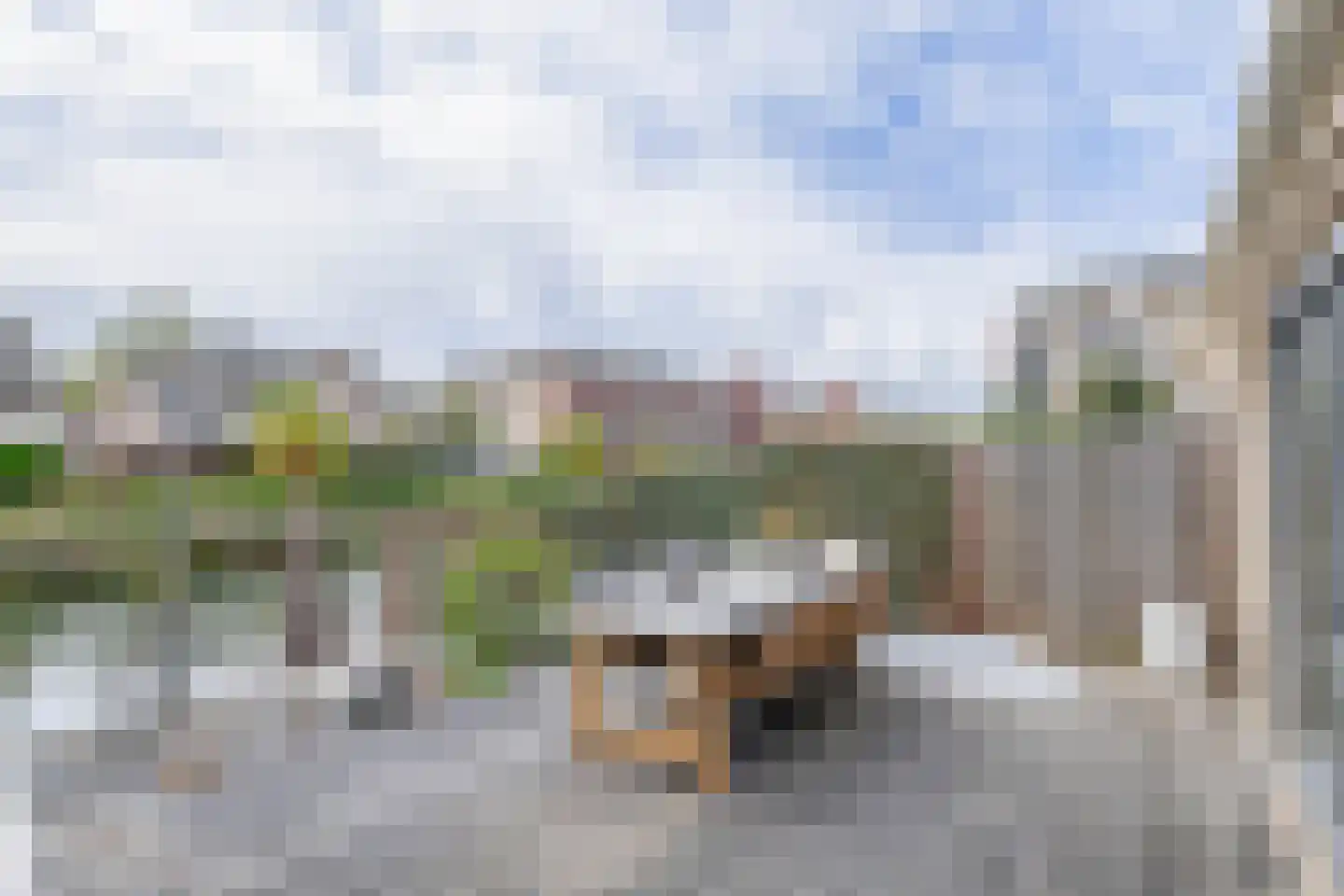Wolvenburg 14 Barendrecht thumbnail 41