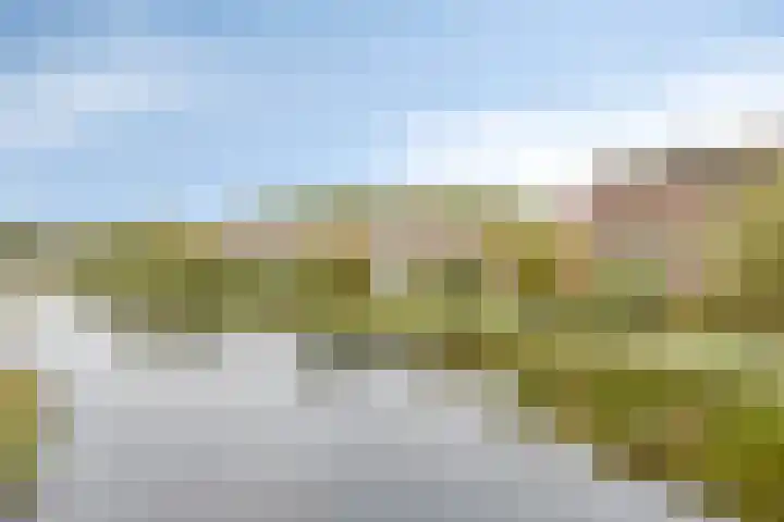 Wolvenburg 36 Barendrecht thumbnail 12